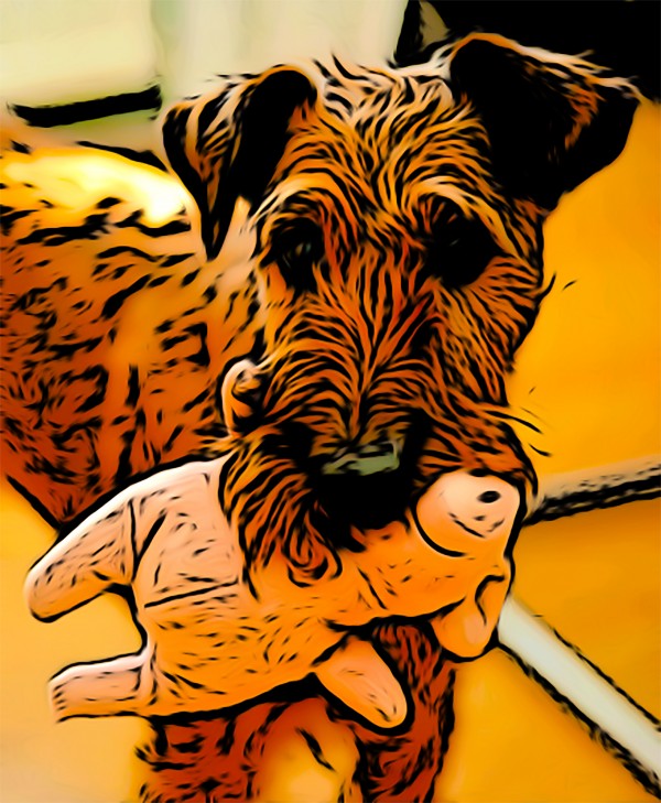 Dog with toy by W Scott
